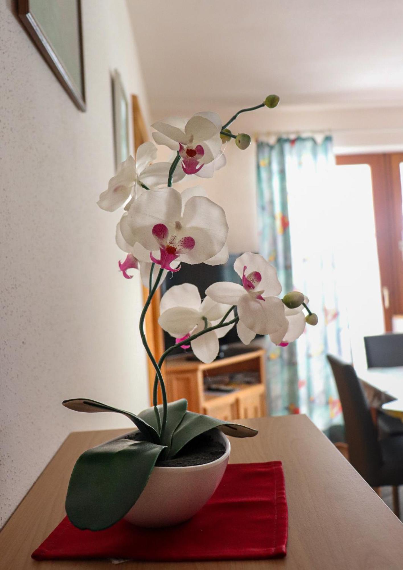 Apartament Toni